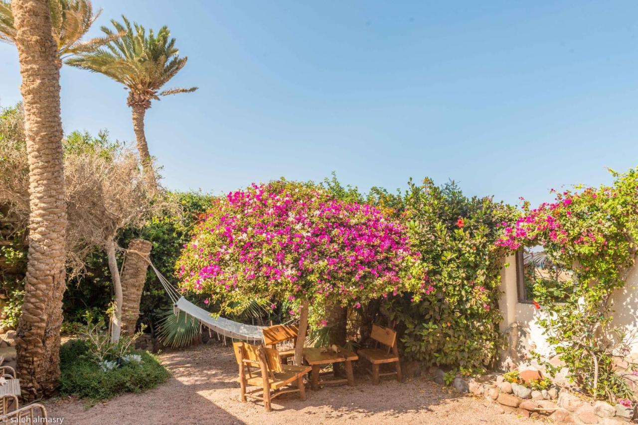 Beit Theresa Dahab Exteriér fotografie