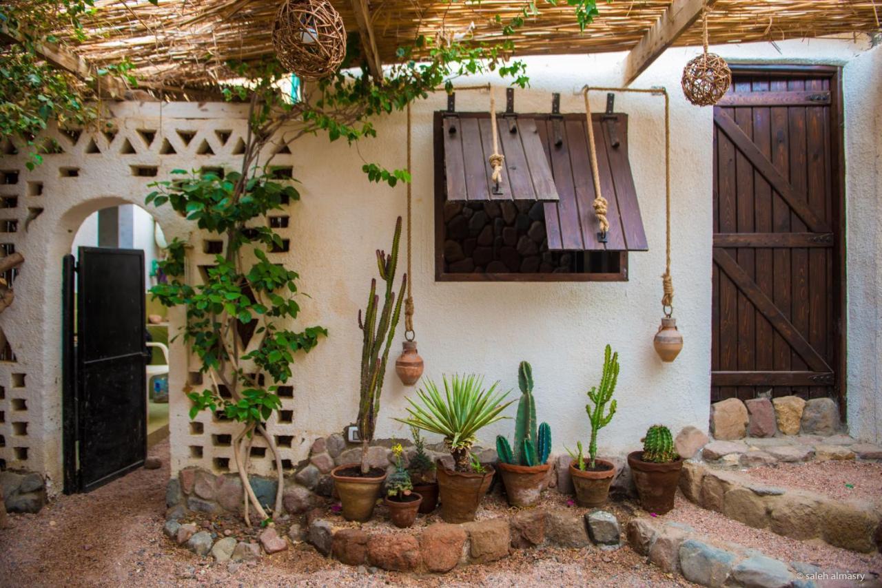 Beit Theresa Dahab Exteriér fotografie