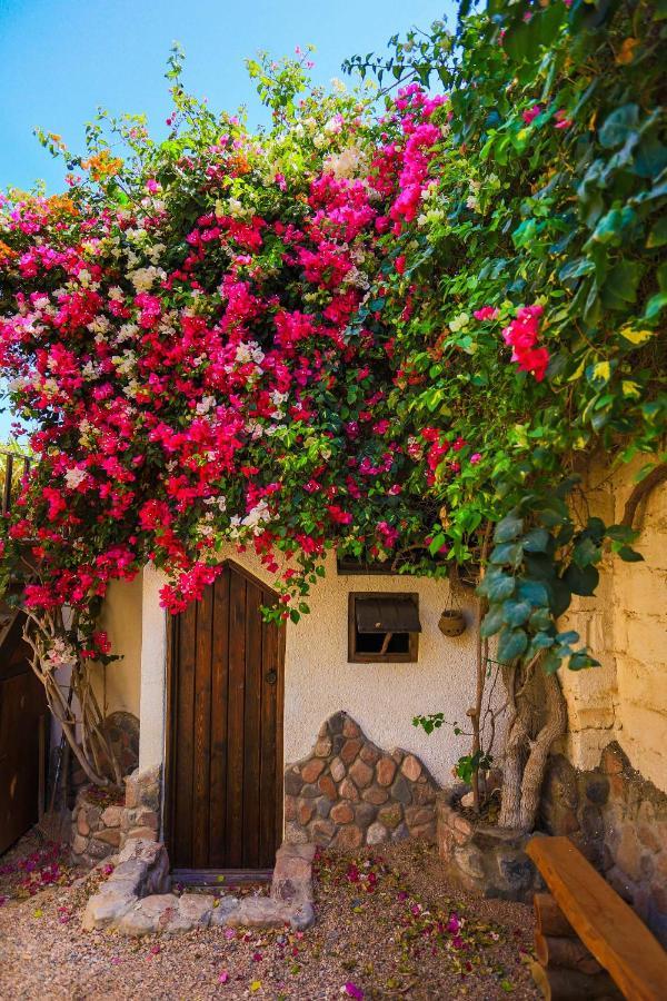 Beit Theresa Dahab Exteriér fotografie