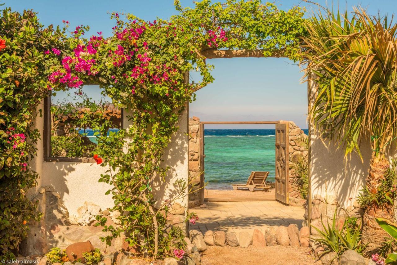 Beit Theresa Dahab Exteriér fotografie